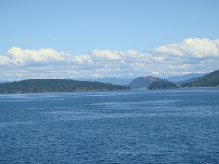 DSC00611