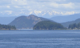 DSC00613