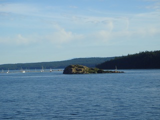 DSC00638