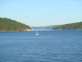 DSC00648