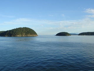 DSC00649