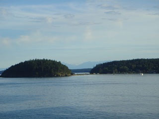 DSC00650