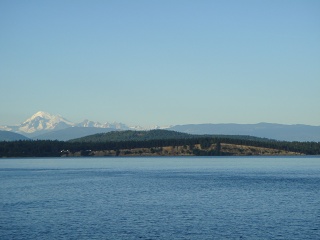 DSC00654