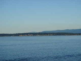 DSC00656