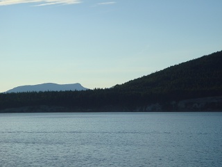 DSC00660