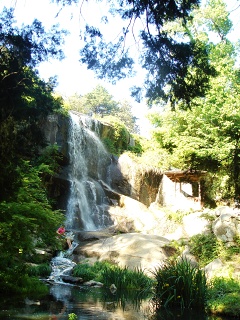 DSC01473